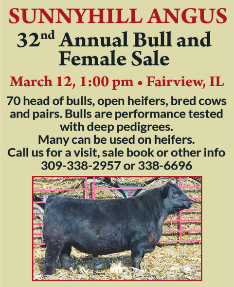 32nd Annual Bull & Female Sale - March 12th 2022 at 1 p.m.